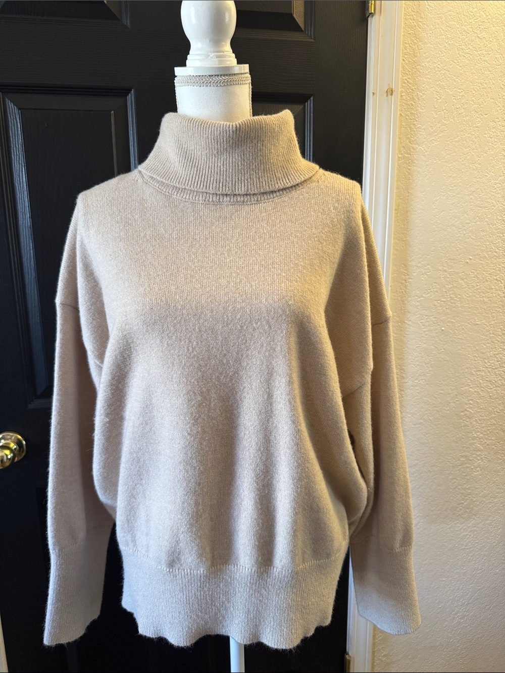Bluivy Soft Beige Turtleneck Pullover